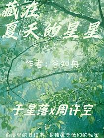 藏在夏天的星星