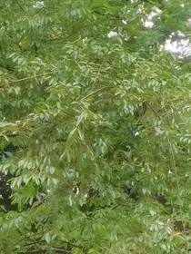 少年的逆光征途