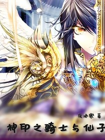 神印之骑士与仙子
