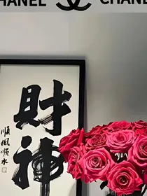 少年新日记