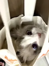喜欢我什么？