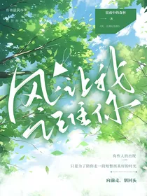 风，让我记住你