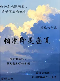 相逢即是盛夏