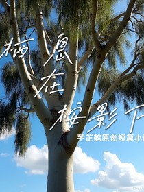 栖息在桉影下