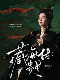 藏海传：贵女