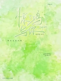 斗龙——惊鸿与你