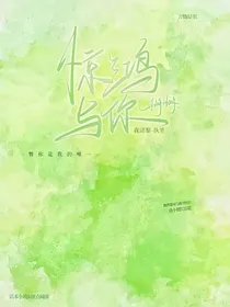 斗龙——惊鸿与你