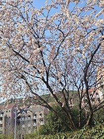 综漫征途