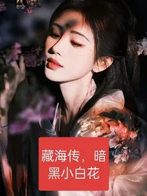 藏海传，暗黑小白花