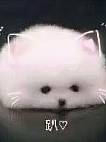 菲梦少女：闪耀的繁星