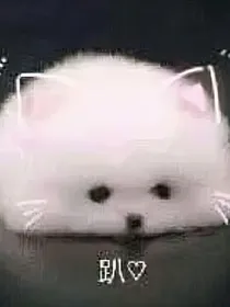 菲梦少女：闪耀的繁星