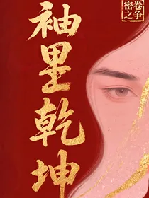 袖里乾坤：密卷之争