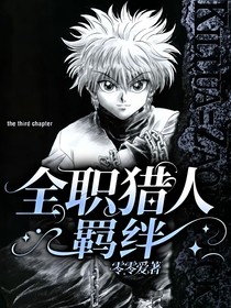 全职猎人：羁绊