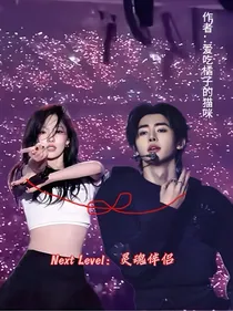 NextLevel：灵魂伴侣