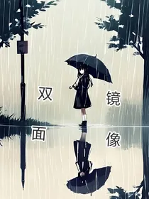 双面镜像……