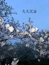 九九沉沦