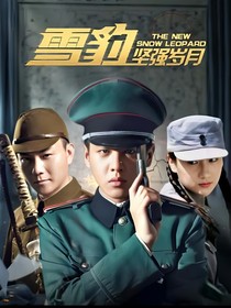 雪豹之黑狐