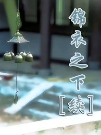 锦衣之下之续写第二部