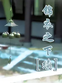 锦衣之下之续写第二部