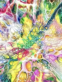 秋思雨珠