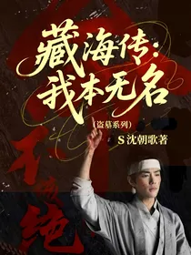 藏海传：我本无名（盗墓系列）