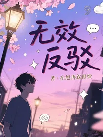 无效反驳
