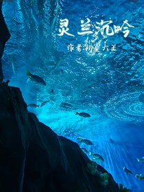 灵兰沉吟