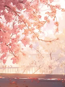 樱花树下等我