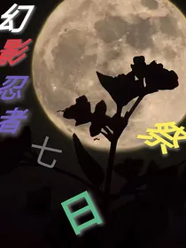 幻影忍者：七日祭