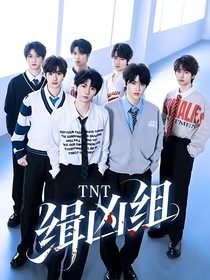 TNT缉凶组