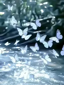 喜灰：欢影体