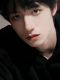 归国夫君