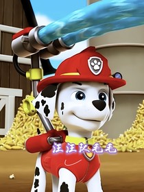 汪汪队毛毛（）