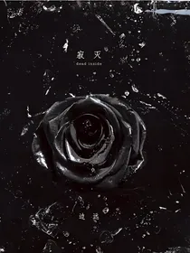 寂灭之境