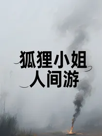 狐狸小姐人间游