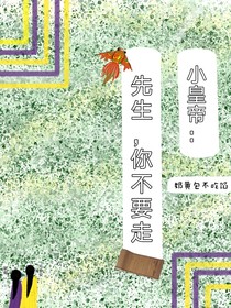 小皇帝：先生，你不要走