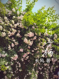 桉柯语栖