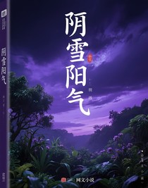 阴雪阳气