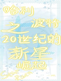 哈利波特之20世纪的新星崛起