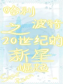哈利波特之20世纪的新星崛起