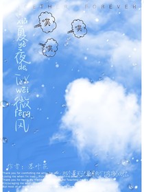夏夜的微风