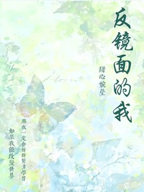 反镜面的我