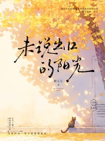 未说出口的阳光