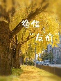 绝佳友谊
