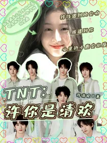 TNT：许你是清欢