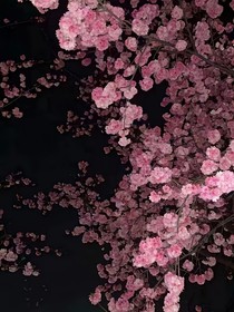 CH：畸变挽钟