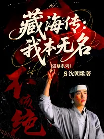藏海传：我本无名（盗墓系列）