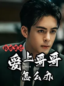 终极笔记：爱上哥哥怎么办