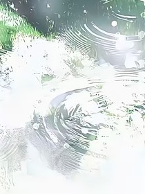 雪碧的日常生活