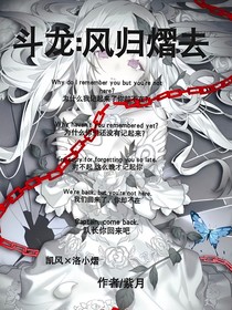 斗龙：风归熠去